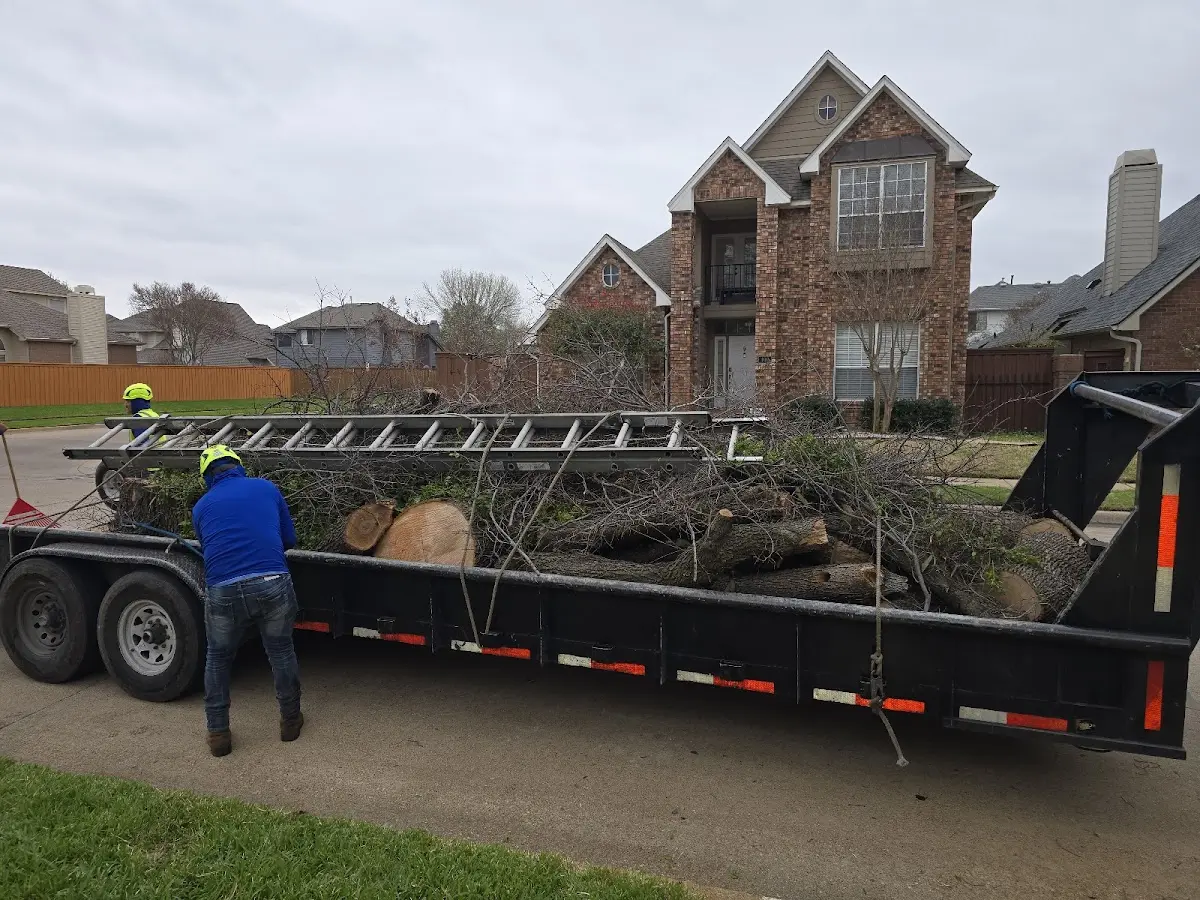 Expert Tree Pest Control with proper safety equipment in Lake Ann